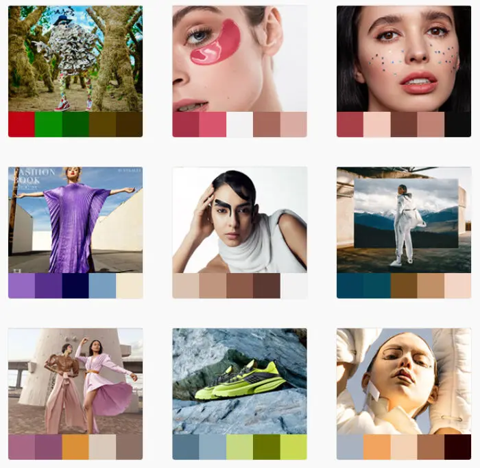 5 przydatnych platform i aplikacji dla fotografa