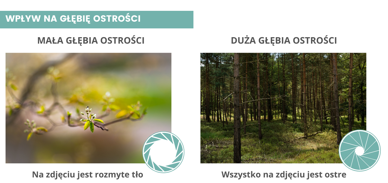 Przysłona głębia ostrości podstawy fotografii kraza